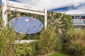 Haven Montauk