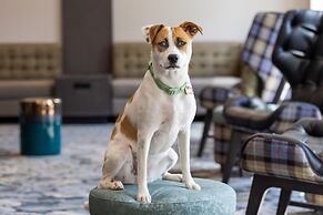 Residence Inn Durham McPherson/Duke University Medical Cntr