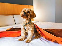 ibis Rio de Janeiro Nova America