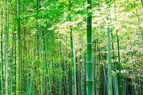 Suiran, A Luxury Collection Hotel, Kyoto