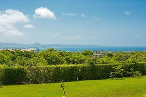 The Tree Bed and Breakfast