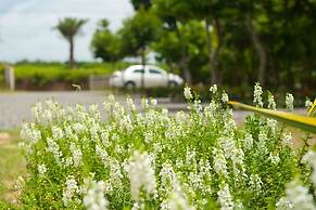 The Tree Bed and Breakfast