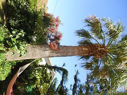 Villa Xenos Studios & Apartments