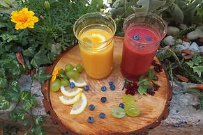 Heritage Hotel Life Palace