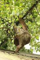 Tirimbina Rainforest Lodge