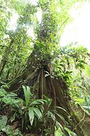 Tirimbina Rainforest Lodge