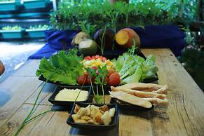 Tirimbina Rainforest Lodge