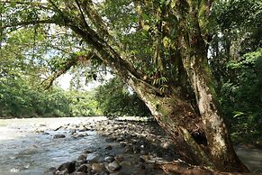 Tirimbina Rainforest Lodge