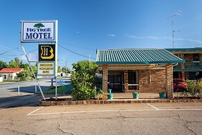Fig Tree Motel