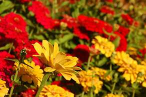 Namhae German Village Neuhaus in Korea