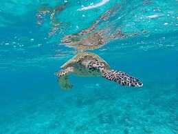 Rasdhoo Coralville