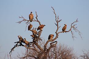 Palala Boutique Game Lodge & Spa