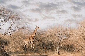 Palala Boutique Game Lodge & Spa