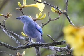 Monique's Guesthouse