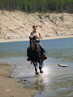 Williston Lake Resort