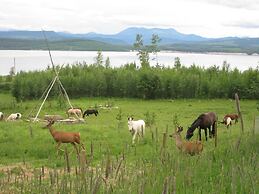 Williston Lake Resort