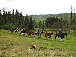 Williston Lake Resort