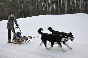 Williston Lake Resort