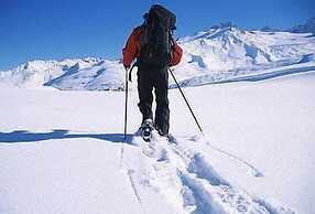 Williston Lake Resort