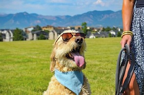 Flying Horse Resort & Club