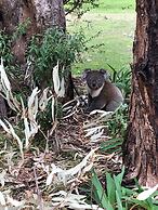 Ingenia Holidays Murray Bend