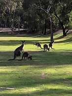 Ingenia Holidays Murray Bend