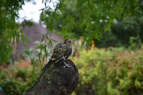 Chrislin African Lodge