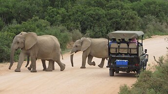 Chrislin African Lodge