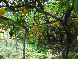 Edenholiday Casa Vacanze