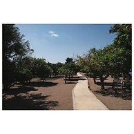 Can Arabi Adults Only