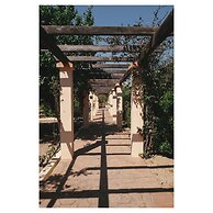 Can Arabi Adults Only