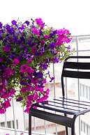 Relais Star of Trastevere