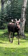 Meandering Moose Lodging