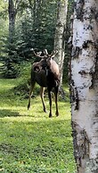 Meandering Moose Lodging