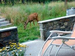 Baergnaescht Bed & Breakfast