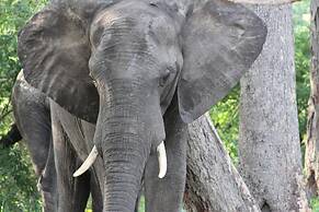 Gwango Elephant Lodge