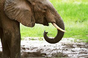 Gwango Elephant Lodge