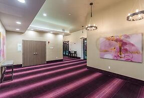 Holiday Inn San Marcos-Convention CTR Area by IHG