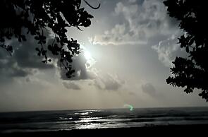 Miss Miriam Beachfront Cabins