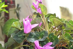 Wenzler's Landing Bed & Breakfast