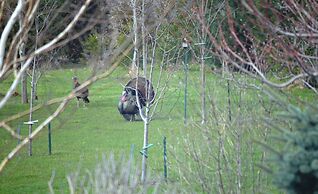 Wenzler's Landing Bed & Breakfast