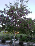 Wenzler's Landing Bed & Breakfast