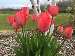 Wenzler's Landing Bed & Breakfast