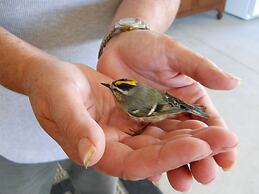 Wenzler's Landing Bed & Breakfast