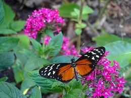 Valle Escondido Nature Reserve Hotel & Farm