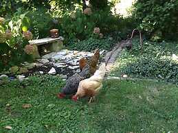 Manderley Bed and Breakfast