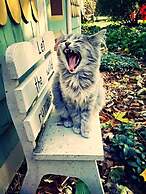 Manderley Bed and Breakfast