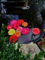 Manderley Bed and Breakfast