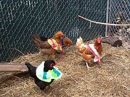 Manderley Bed and Breakfast