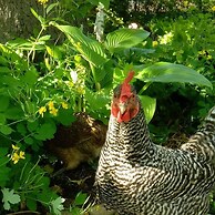 Manderley Bed and Breakfast